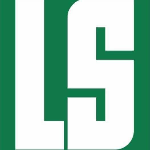 LEADINGSTAR VN (BINH DUONG PROVINCE)